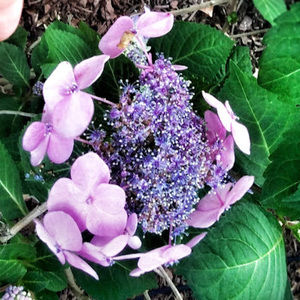 Meet your Posher, Camryn